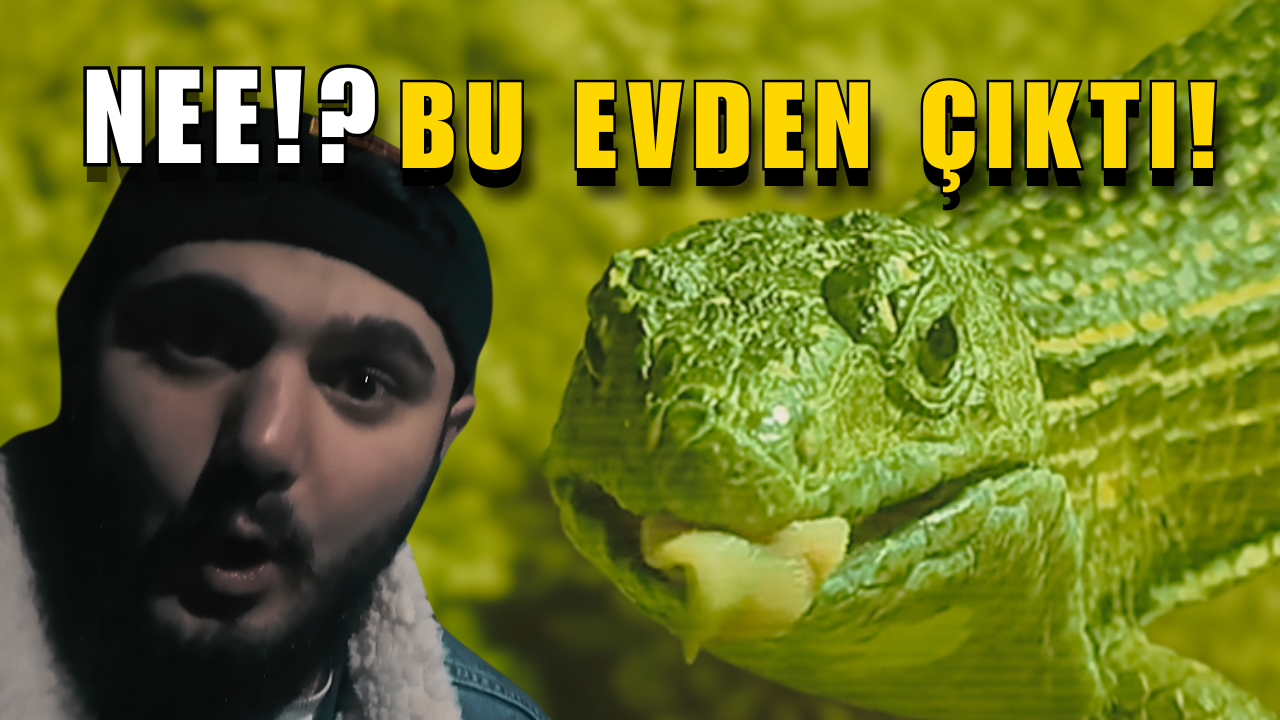 Japonya’da Evcil Timsah Nico ile Tanıştım!